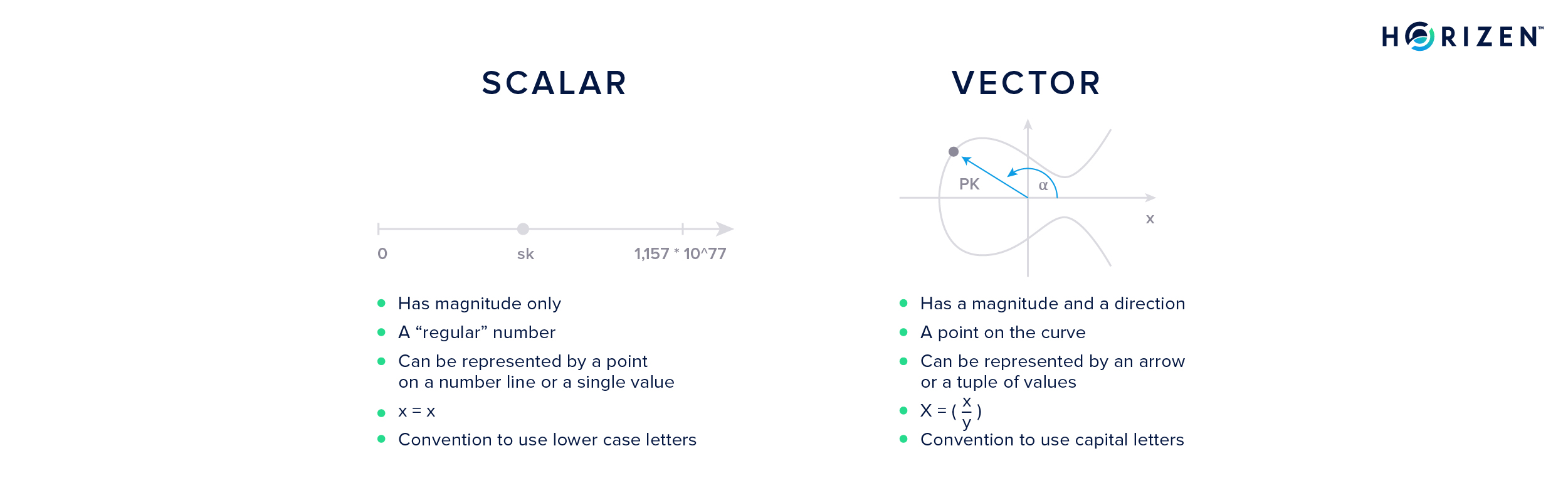 Scalar vs. Vector